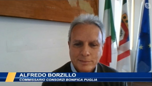 Il Commissario Straordinario Dott. Alfredo Borzillo risponde alle domande pos...